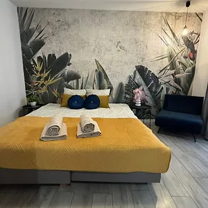 Wow! Paradise Krakow